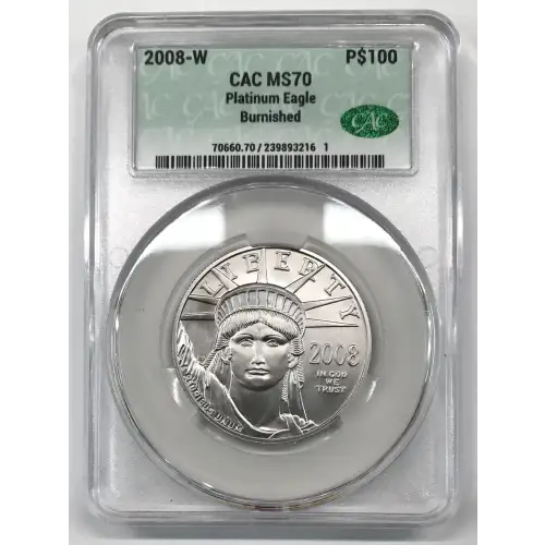 2008-W Burnished Platinum Eagle P$100 (3)