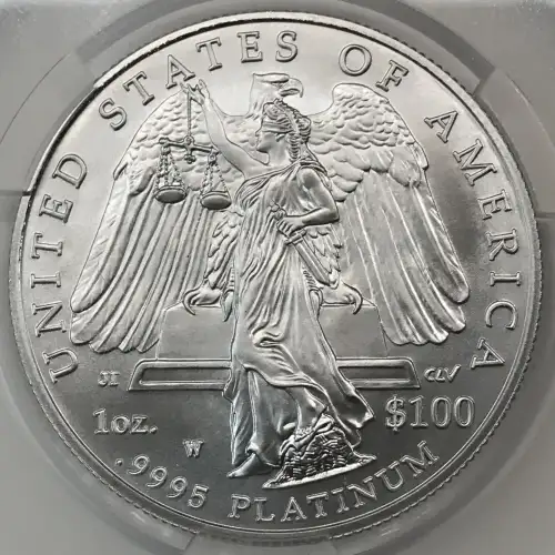 2008-W Burnished Platinum Eagle P$100 (5)