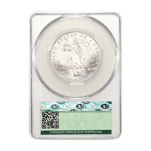 2008-W Burnished Platinum Eagle P$100 (5)