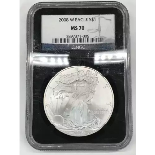 2008 W BURNISHED SILVER EAGLE 