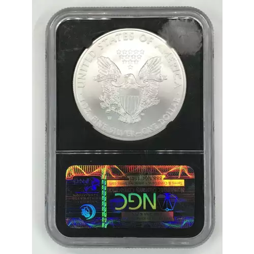 2008 W BURNISHED SILVER EAGLE  (2)
