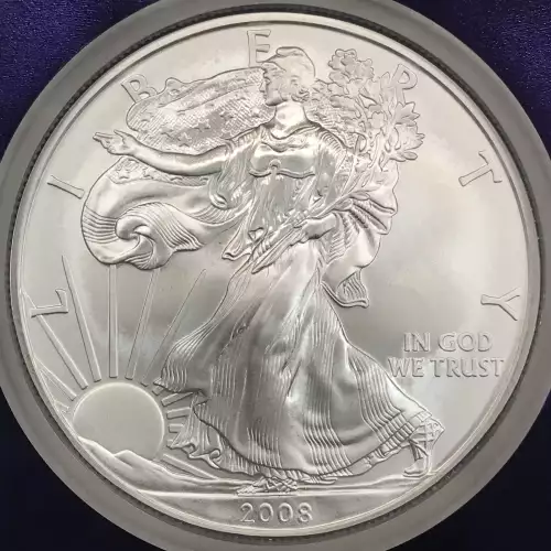 2008-W Burnished Silver Eagle NGC MS-70 - TraderBea Label & Core (3)