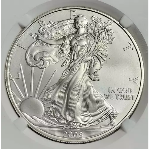 2008 W BURNISHED SILVER EAGLE REVERSE OF 2007  (2)