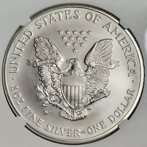 2008 W BURNISHED SILVER EAGLE REVERSE OF 2007 