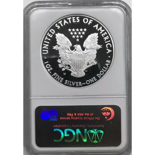 2008 W  ULTRA CAMEO (3)