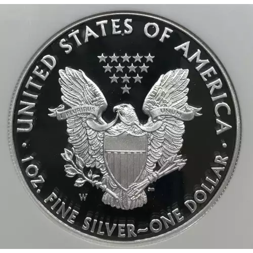 2008 W  ULTRA CAMEO (2)