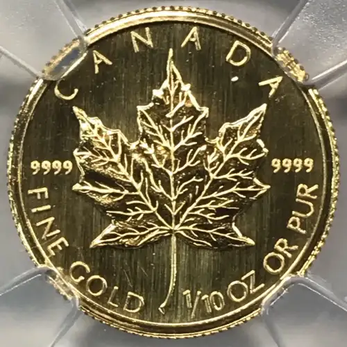 2009 MAPLE LEAF (5)