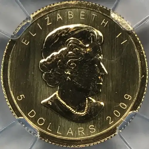 2009 MAPLE LEAF (3)