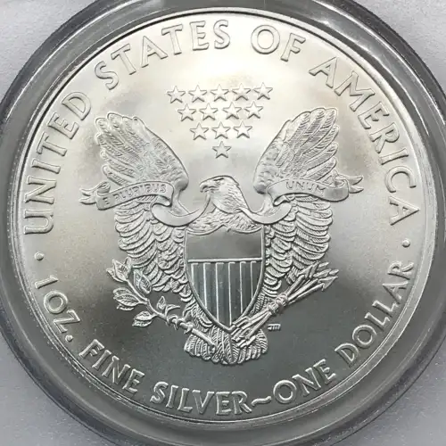 2010 $1 Silver Eagle (2)