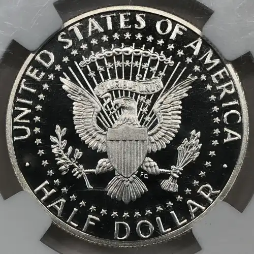 2010 S  ULTRA CAMEO (3)