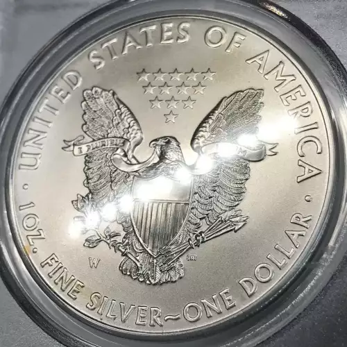 2011-W $1 Burnished Silver Eagle (6)