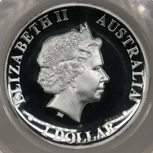2011P Kangaroo - High Relief Early Releases ULTRA CAMEO (5)