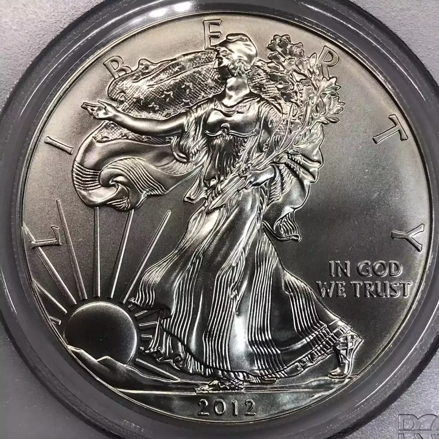 2012 $1 Silver Eagle (3)
