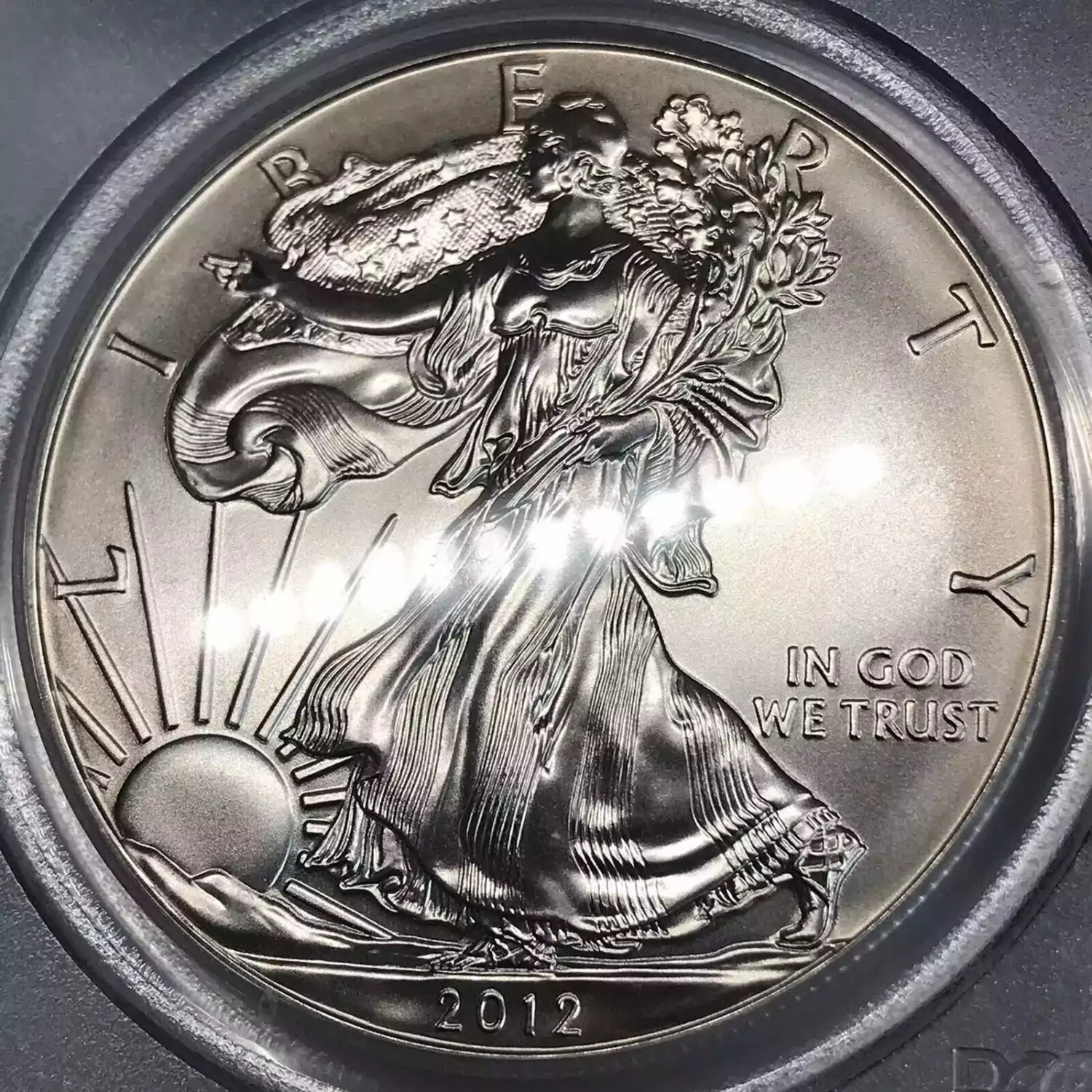 2012 $1 Silver Eagle (5)