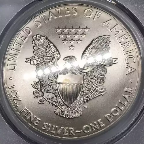 2012 $1 Silver Eagle (6)