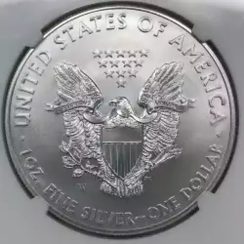 2012 W BURNISHED SILVER EAGLE  (5)