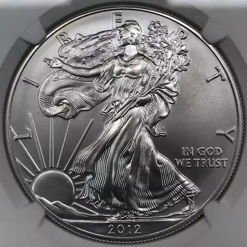2012 W BURNISHED SILVER EAGLE (3)
