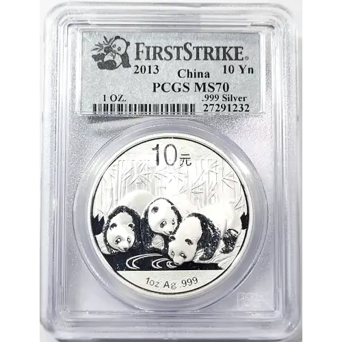 2013 10 Yn Panda Silver First Strike (4)