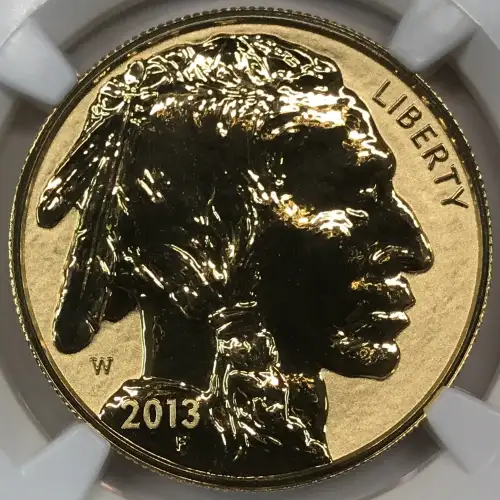 2013 BUFFALO - .9999 FINE CHICAGO ANA RELEASES (3)