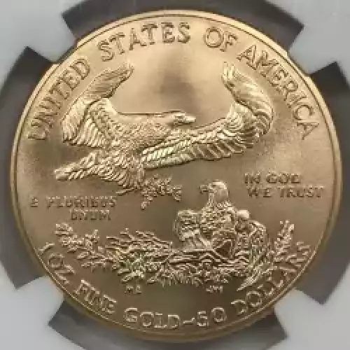 2013 W BURNISHED GOLD EAGLE  (7)