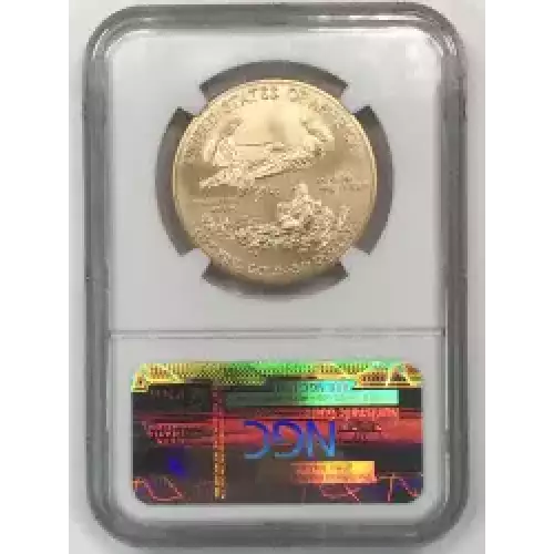 2013 W BURNISHED GOLD EAGLE  (5)