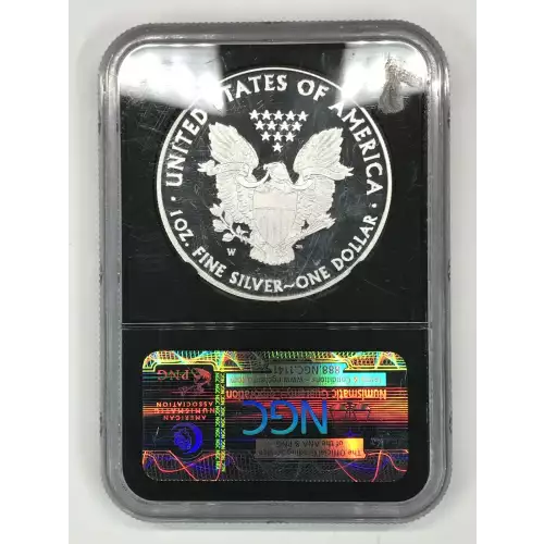 2013 W  ULTRA CAMEO (2)