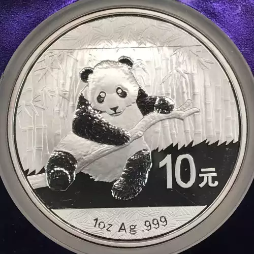 2014 Panda  (4)