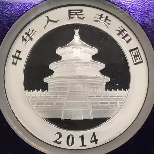 2014 Panda  (3)