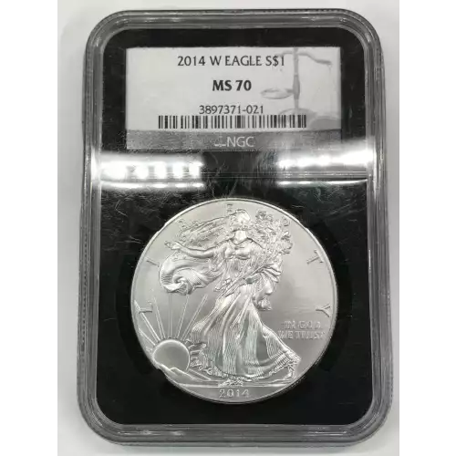 2014 W BURNISHED SILVER EAGLE 