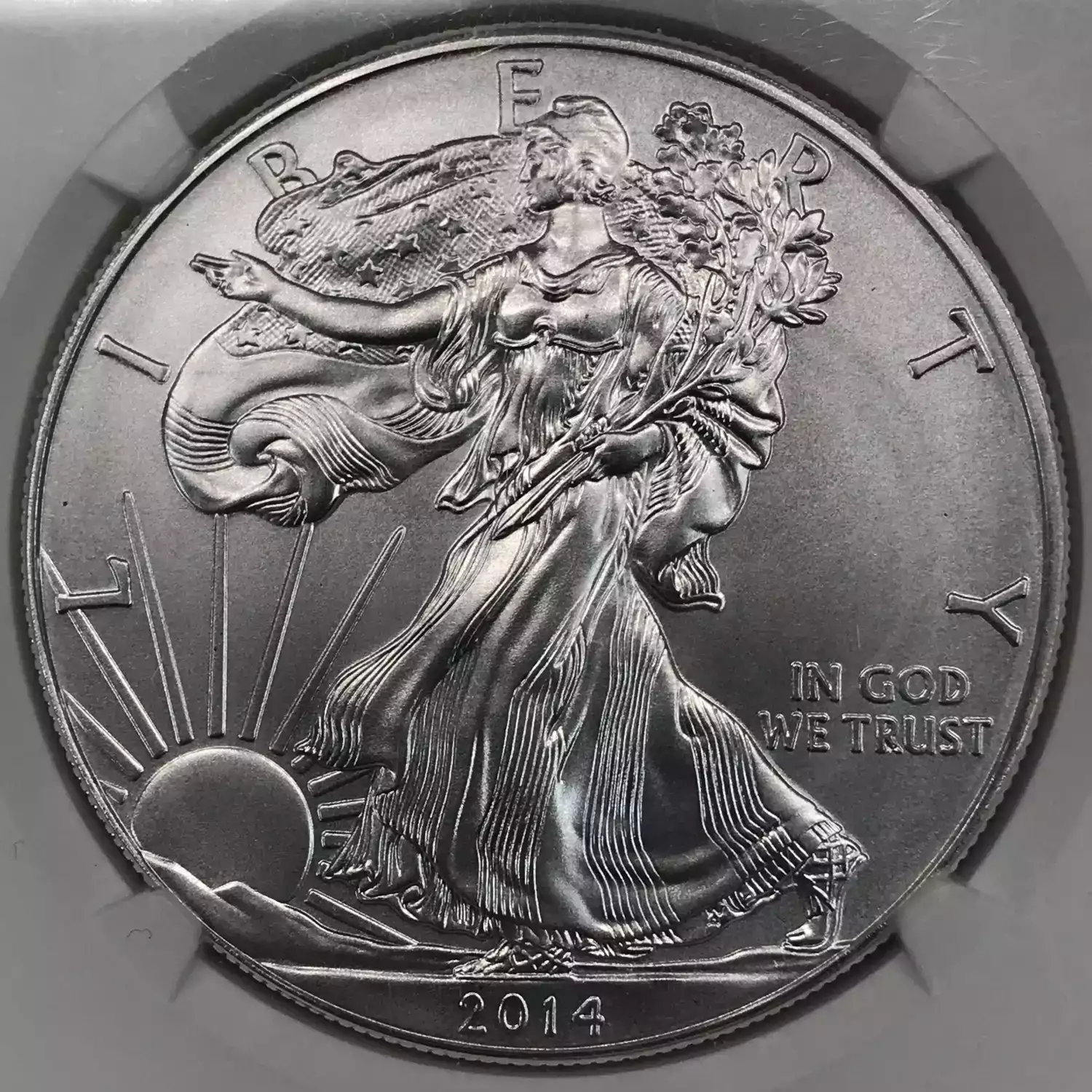 2014(W) EARLY RELEASES Struck at West Point Mint  (2)