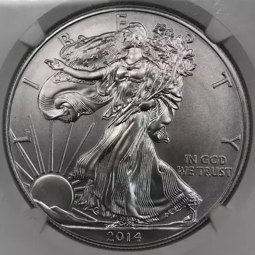 2014(W) EARLY RELEASES Struck at West Point Mint  (2)