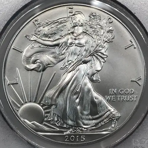 2015-W $1 Burnished Silver Eagle First Strike (3)