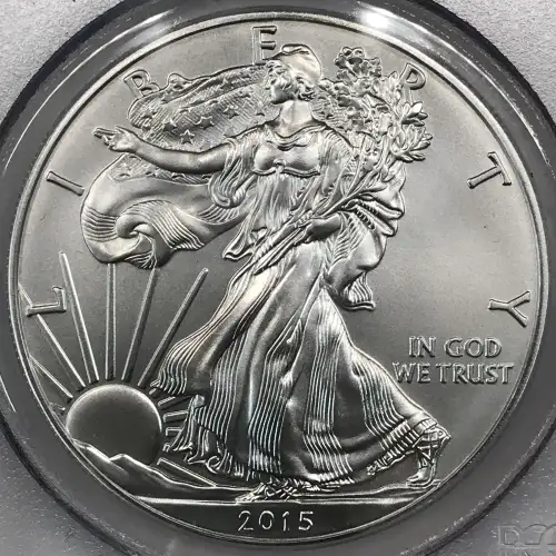 2015-W $1 Burnished Silver Eagle First Strike (3)