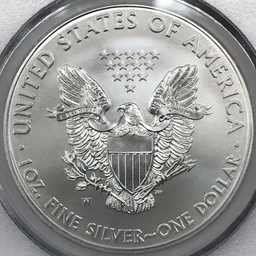 2015-W $1 Burnished Silver Eagle First Strike (2)