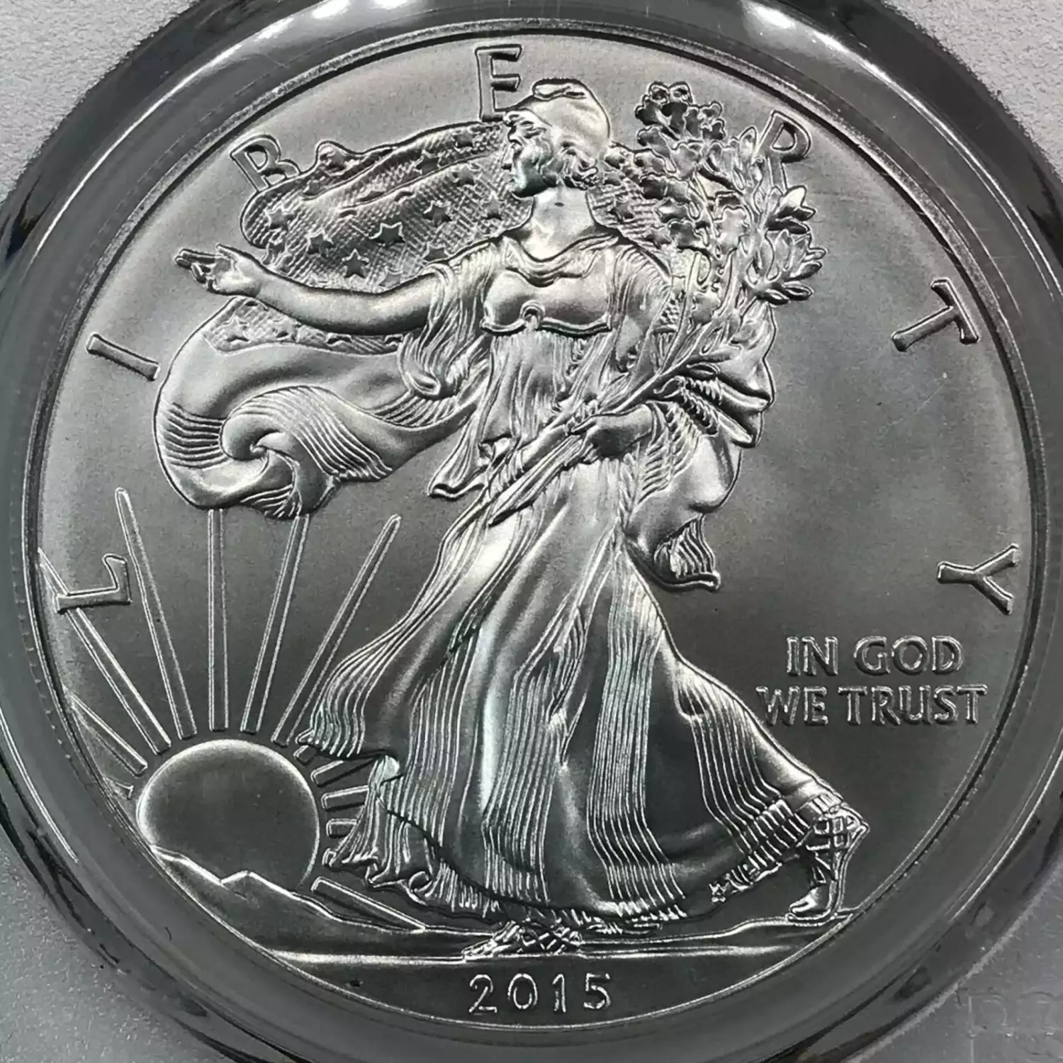 2015-W $1 Burnished Silver Eagle Mercanti Signature (4)