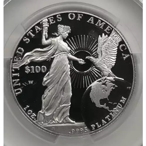 2015-W Platinum Eagle P$100 CAM (Proof) (4)