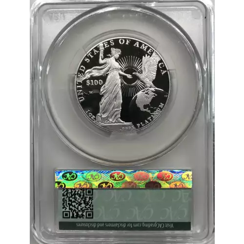 2015-W Platinum Eagle P$100 CAM (Proof) (5)
