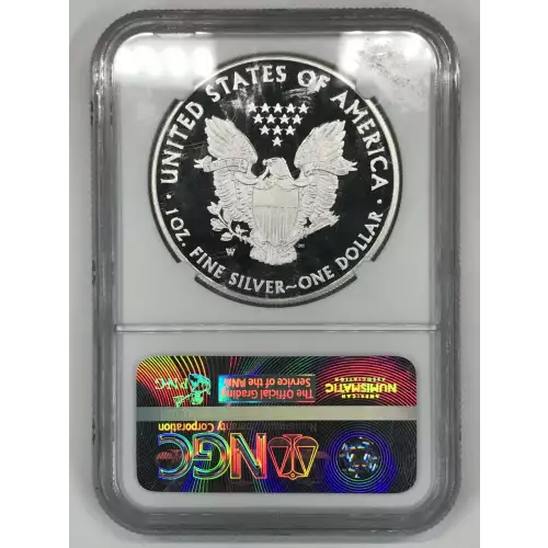 2015 W  ULTRA CAMEO (2)