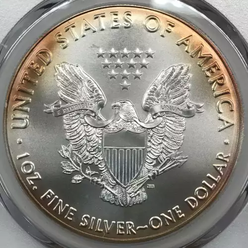 2016 $1 Silver Eagle Silver Eagle - 30th Anniversary First Strike First Strike (4)