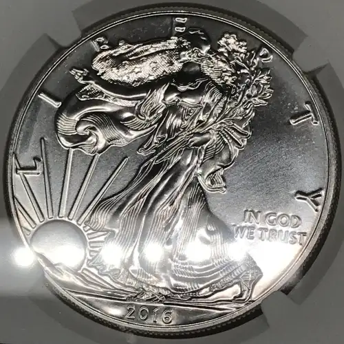 2016 (5)
