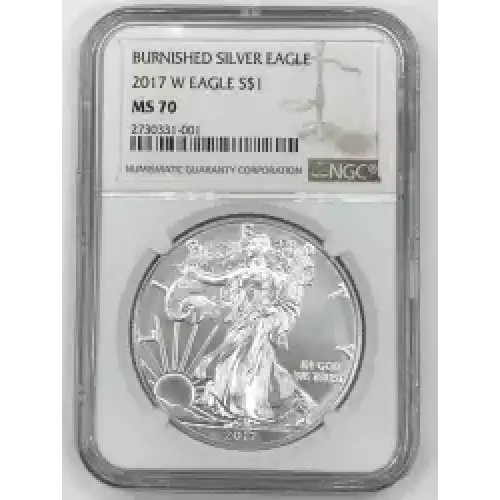 2017 W BURNISHED SILVER EAGLE  (3)