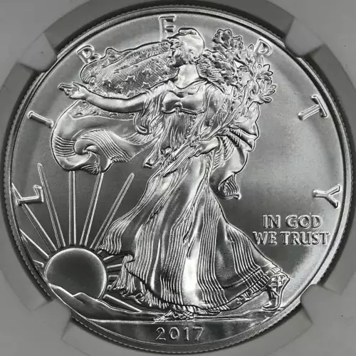 2017 W BURNISHED SILVER EAGLE  (5)