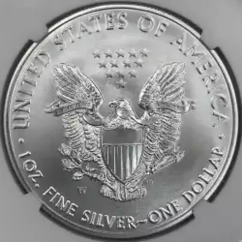 2017 W BURNISHED SILVER EAGLE  (6)