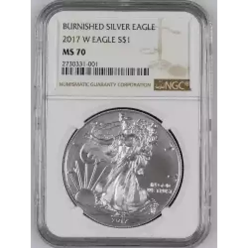 2017 W BURNISHED SILVER EAGLE  (5)