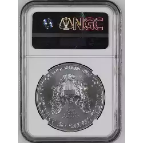 2017 W BURNISHED SILVER EAGLE  (6)