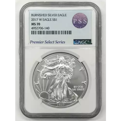 2017 W BURNISHED SILVER EAGLE 