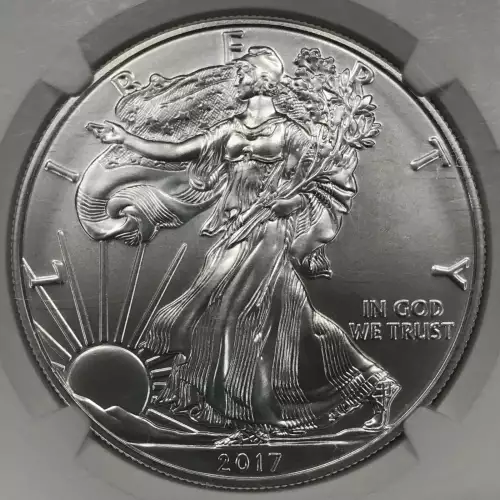 2017 W BURNISHED SILVER EAGLE 