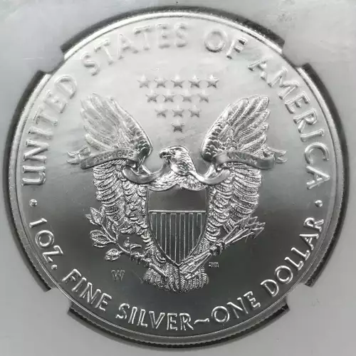 2017 W BURNISHED SILVER EAGLE 