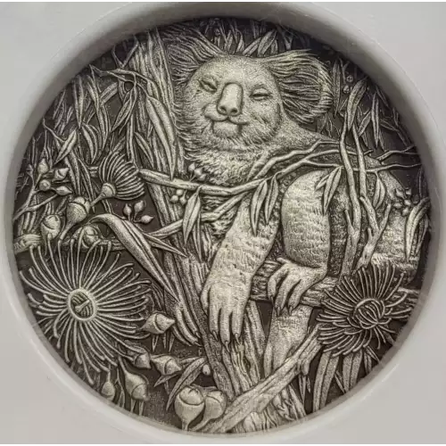 2017P 2oz KOALA - HIGH RELIEF EARLY RELEASES  (4)