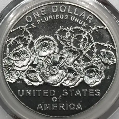 2018-P $1 WWI Centennial First Strike (2)